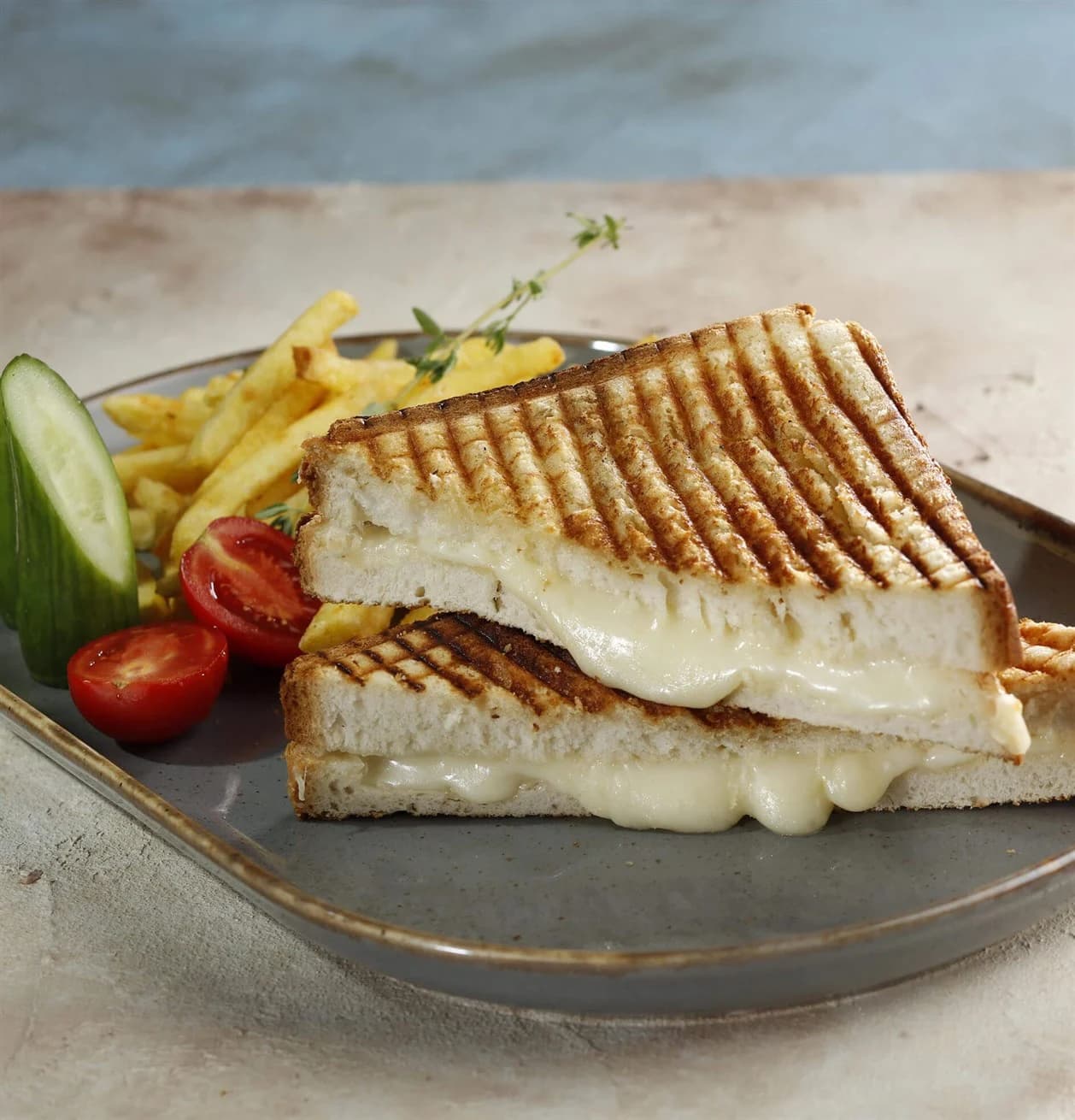 Tek Kaşarlı Tost